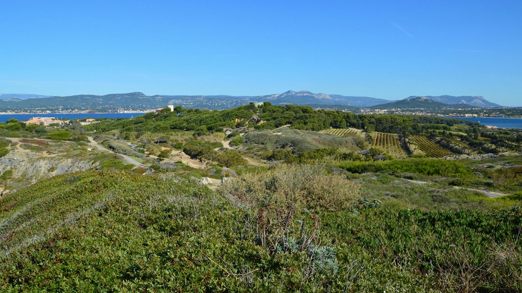 nature meets vineyard getaways