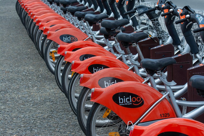 scenic electric bike rental experience
