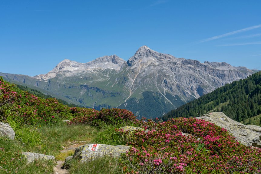 scenic mountain trail experience uniqueness