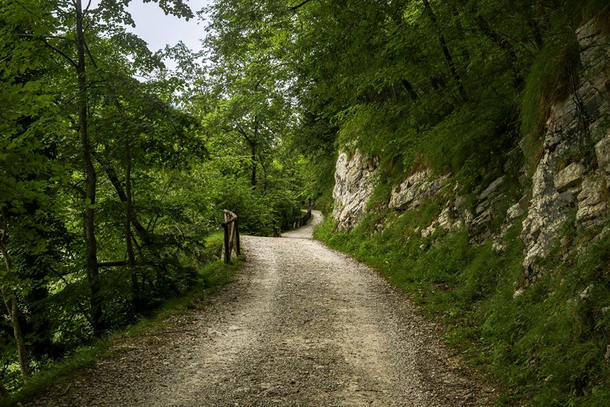 shaded summery nature walks beckon