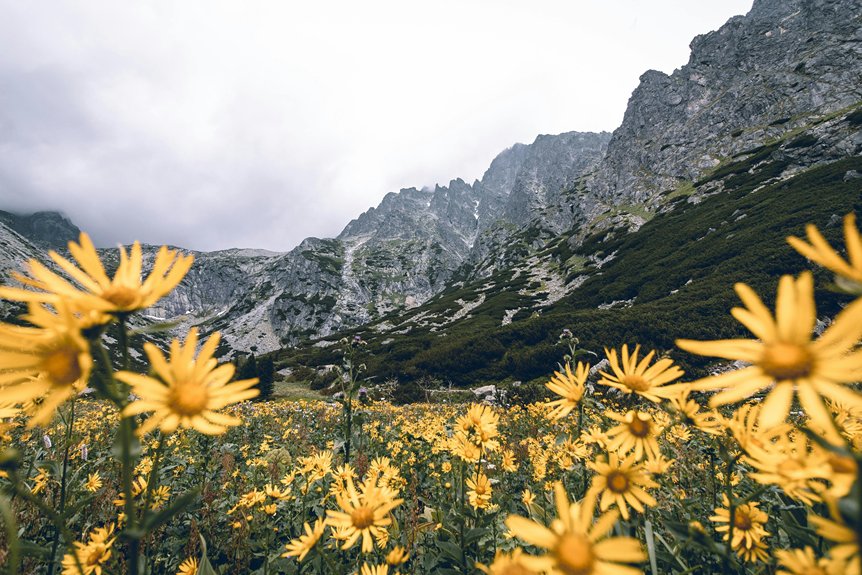 springtime wildflower gorge hiking destinations