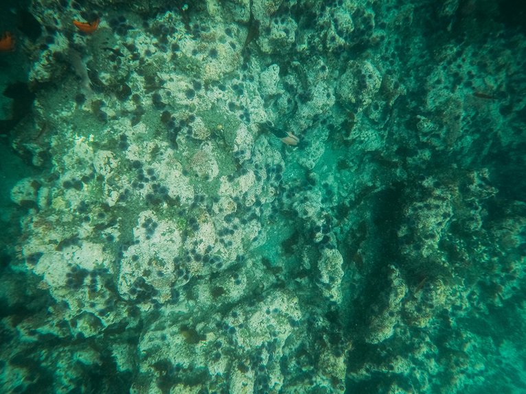 top diving sites near troodos