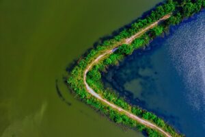 top turtle conservation centers