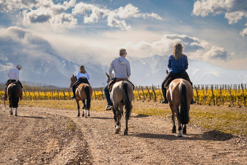 vineyard routes in cyprus mountains