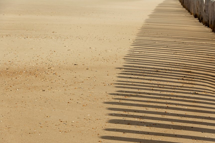 beach sand texture exploration