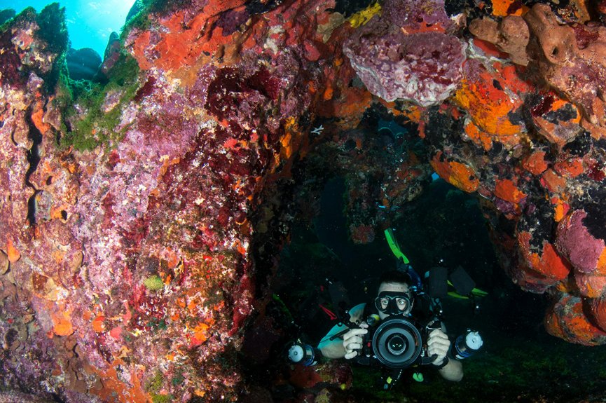 capture vibrant underwater images