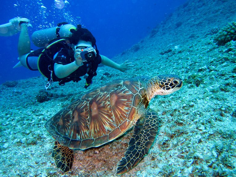 cyprus s premier diving destinations