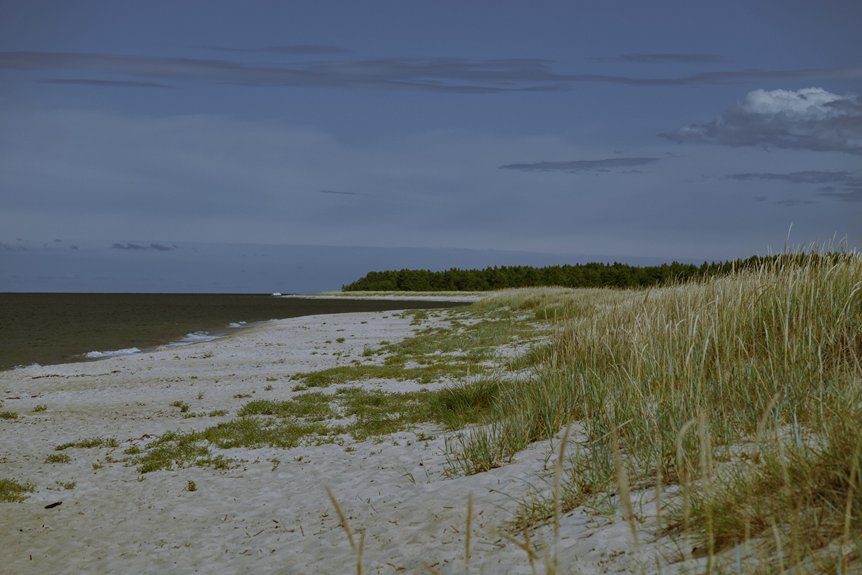 discover hidden remote shores