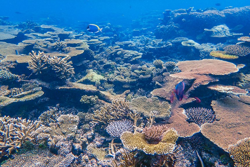 marine parks reef tours