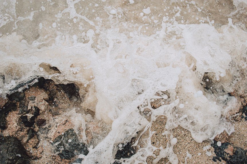 respectful coastal behavior guidelines