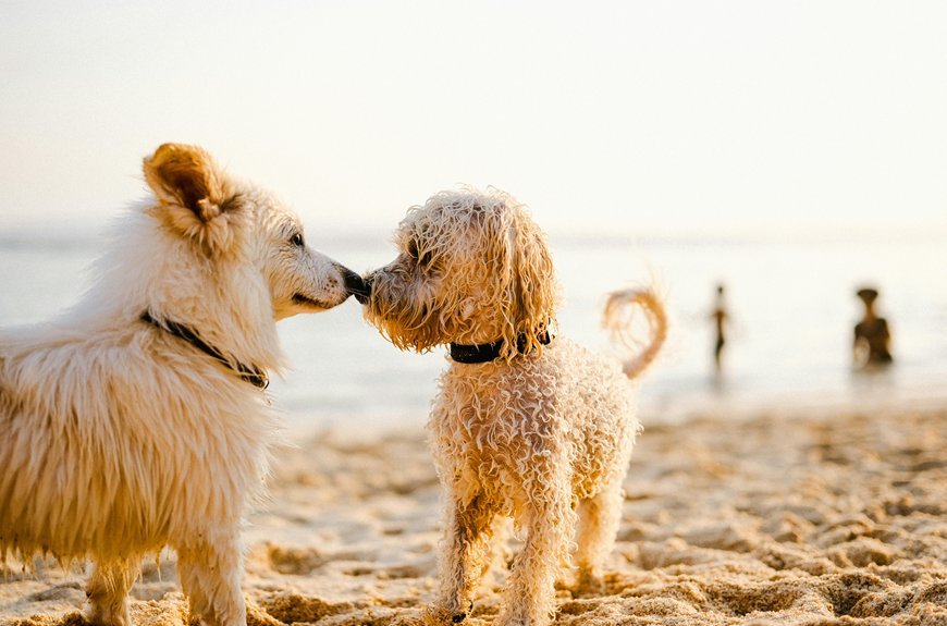 respectful pet behavior guidelines
