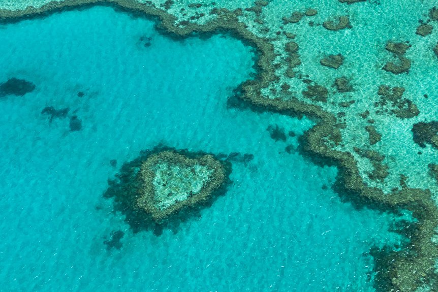 rich marine life reefs