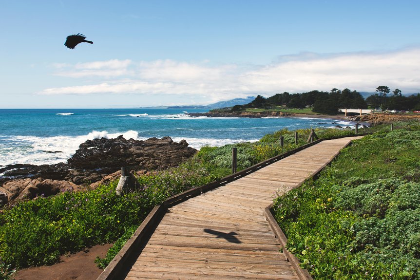 scenic coastal trail exploration