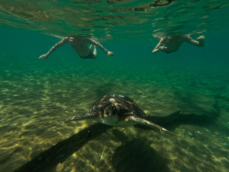 top cyprus snorkeling marine parks