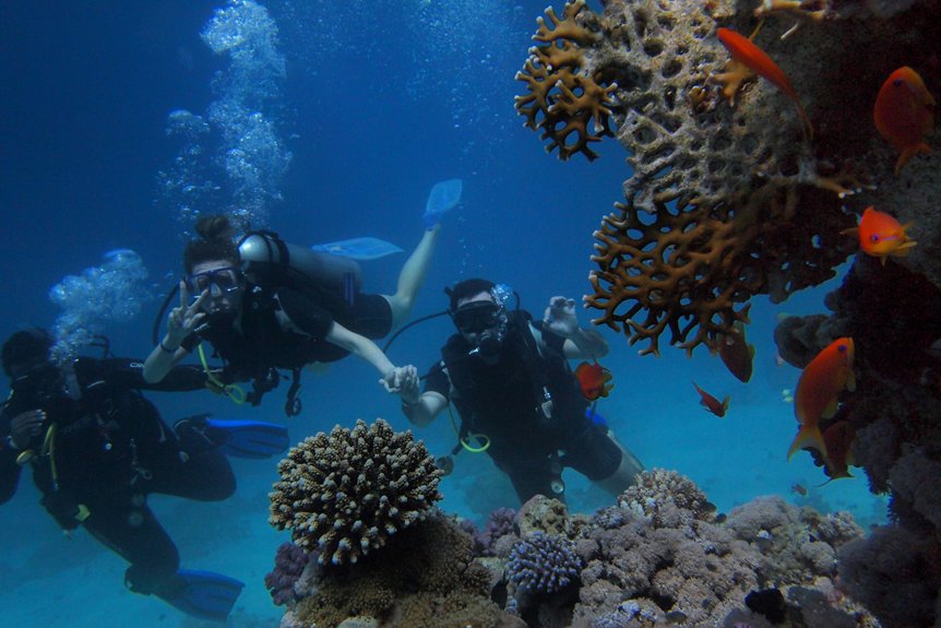 top reef diving certifications