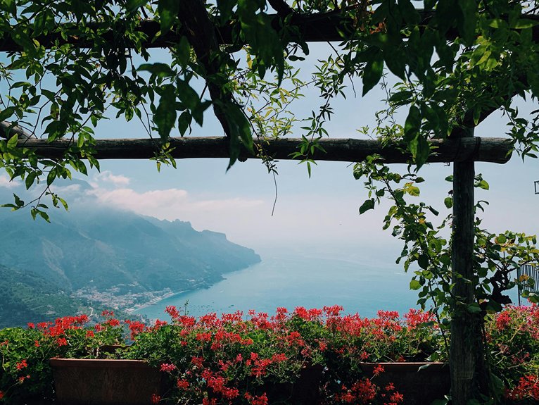 wildflowers blooming on coast