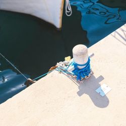 summer marine park adventures