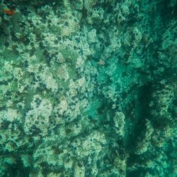 top diving sites near troodos