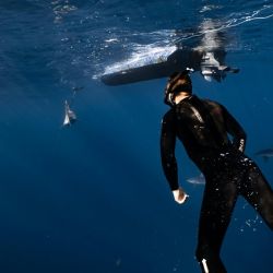book coral reef snorkeling tours