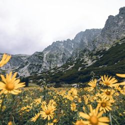 springtime wildflower gorge hiking destinations