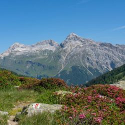 easy troodos mountain hike
