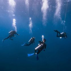 discover exhilarating underwater explorations