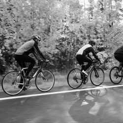 autumn cycling routes in paphos forest