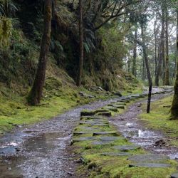 autumn foliage hiking guide troodos