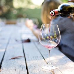 à la découverte de la culture vinicole chypriote
