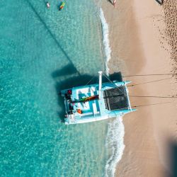 boat tours visit turtle nesting