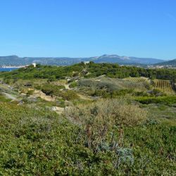 nature meets vineyard getaways
