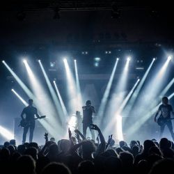 carnival live music venue tips
