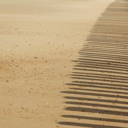 beach sand texture exploration
