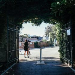 walking venetian gates