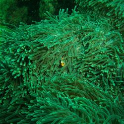 underwater adventures in cyprus