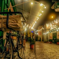 festival dining tips