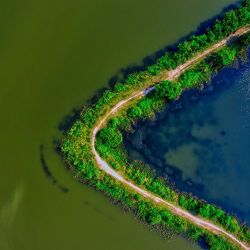 top turtle conservation centers
