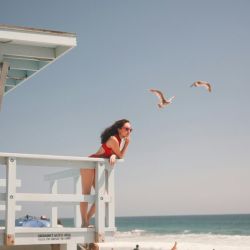 bird watching opportunities