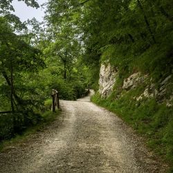 tranquil woodland hiking trail experience