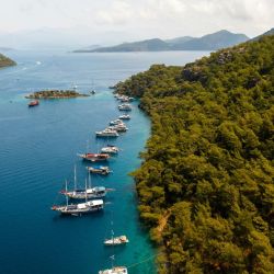boat trips explore latchi akamas peninsula