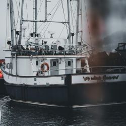 harbor fishing charters guide