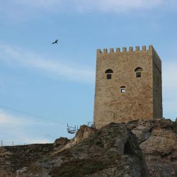 picturesque avian photography spots akamas gorge