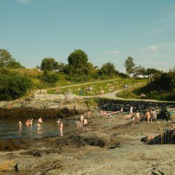 sustainable beach picnic ideas