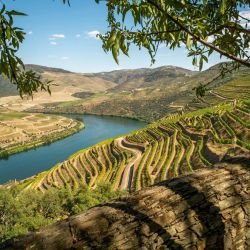 biking vineyards savoring wine routes