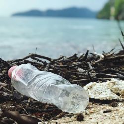 encourage eco friendly beach visits