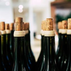 wine tasting day trips